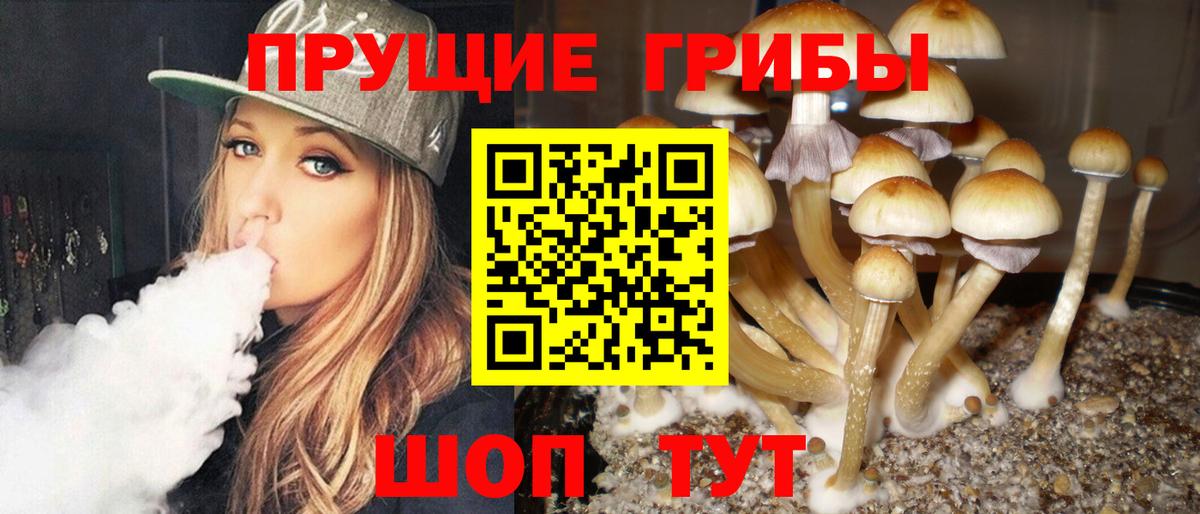 Галлюциногенные грибы Cubensis  Галлюциногенные грибы мицелий  Вход с VPN  Конаково 